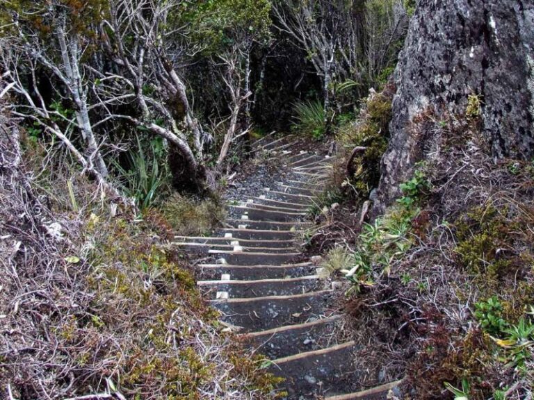 Steep steps going to the bottom of the Taranaki Falls