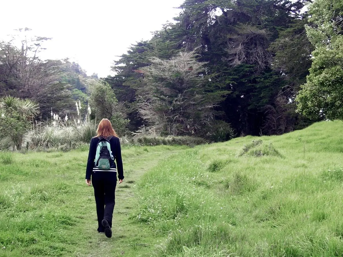 Walker on the farmland track at the start of the Stillwater Beach Walk, Auckland