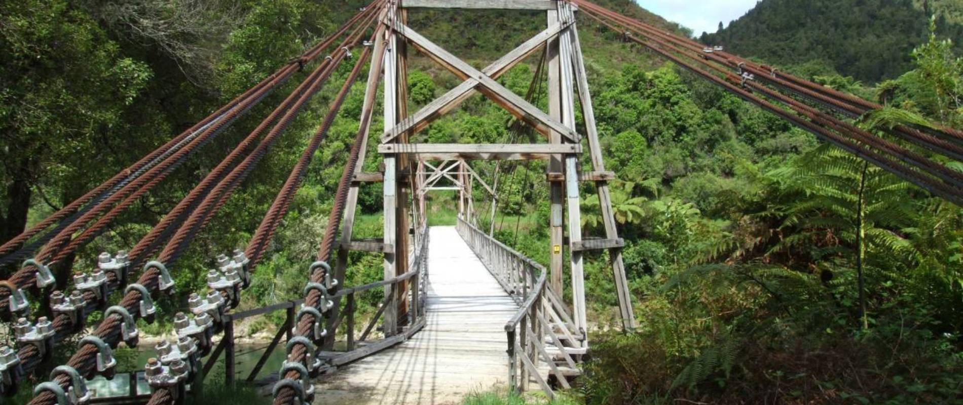 Tauranga Stream Suspension Bridge Loop Walk