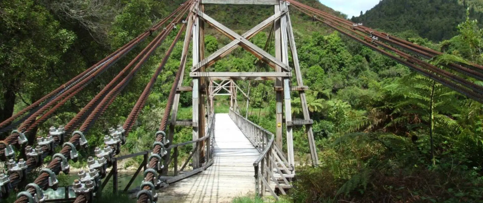 Tauranga Stream Suspension Bridge Loop Walk