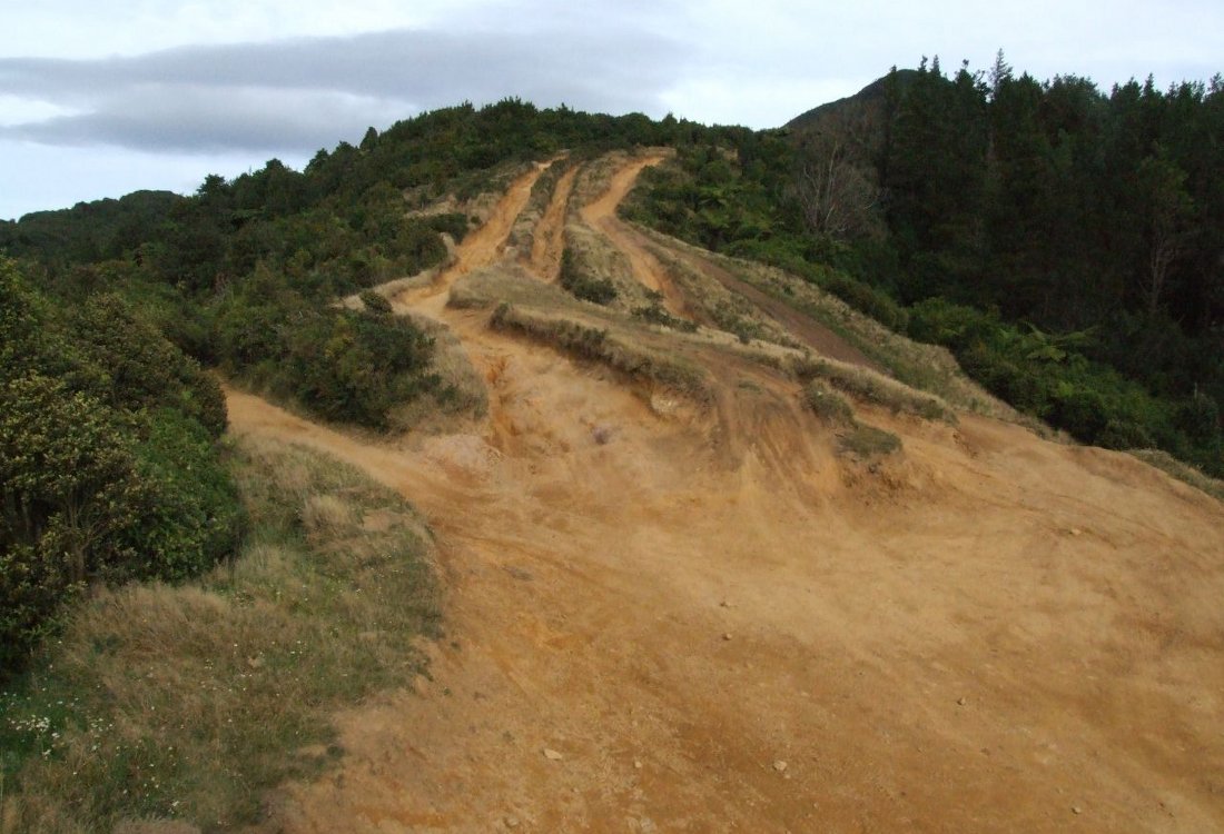 Thompsons Track showing the 4x4 tracks