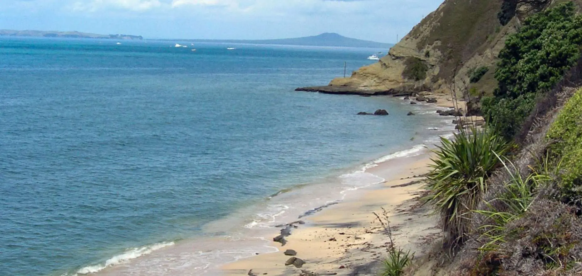 Tiritiri Track – Shakespear Regional Park Whangaparaoa