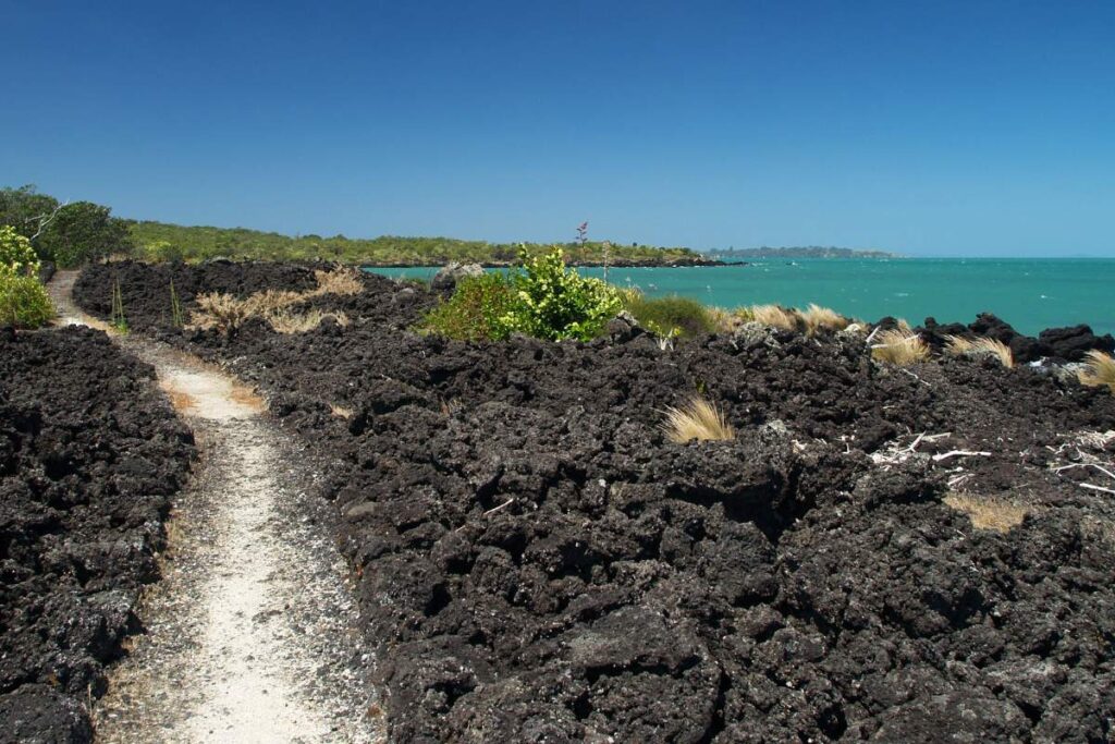 Track path on Rangitoto Island Walk