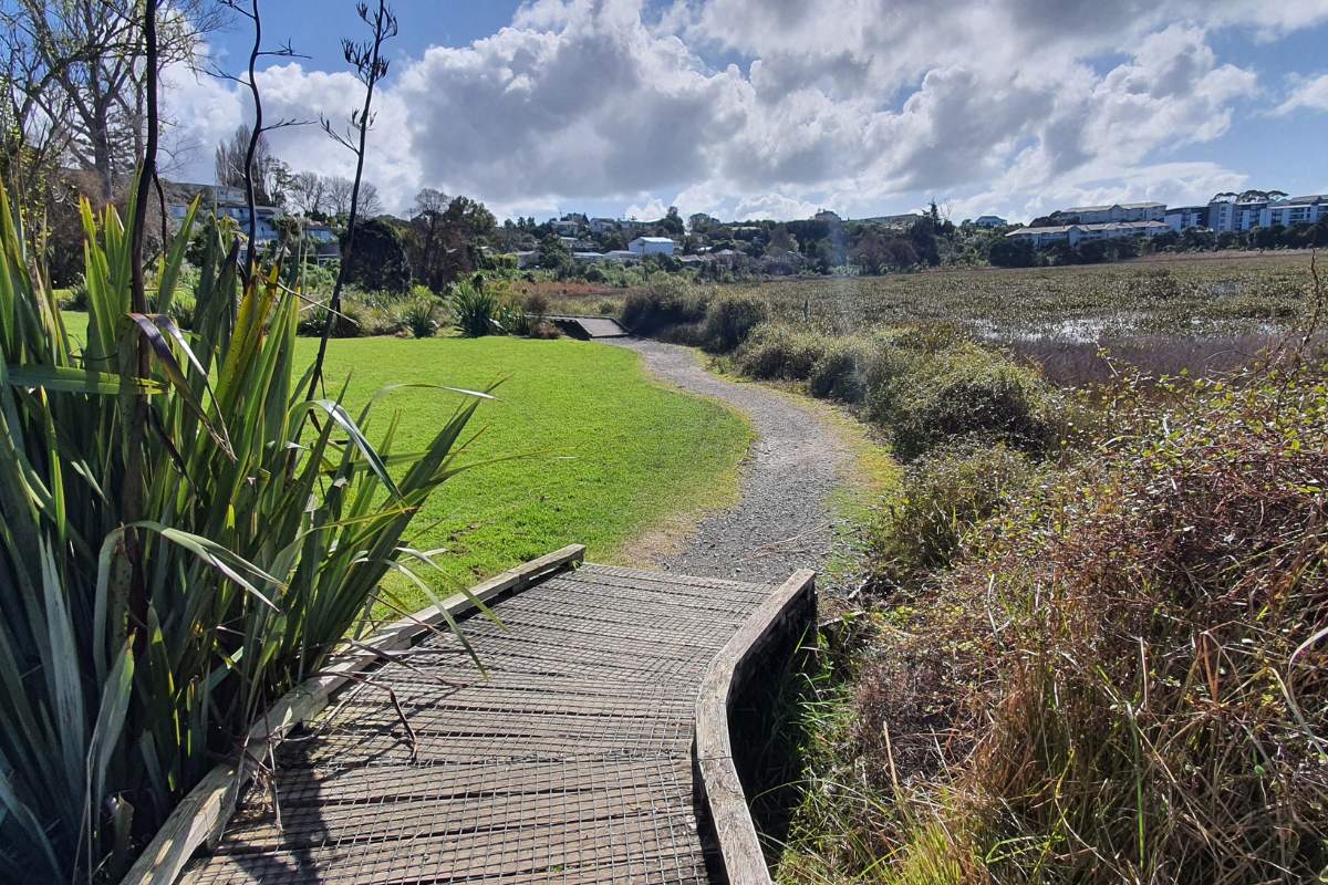 Tuff Crater Path walk, Northcote, North Shore, Auckland