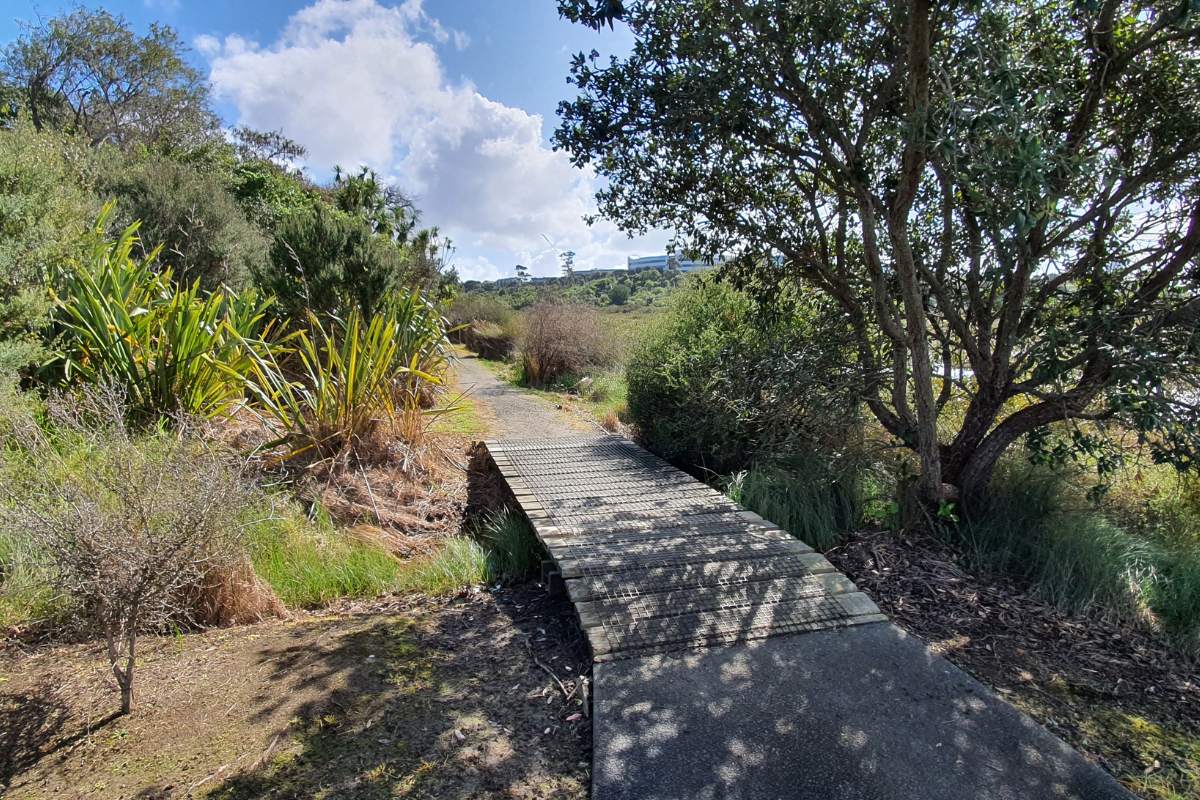 Tuff Crater Path walk, Northcote, North Shore, Auckland