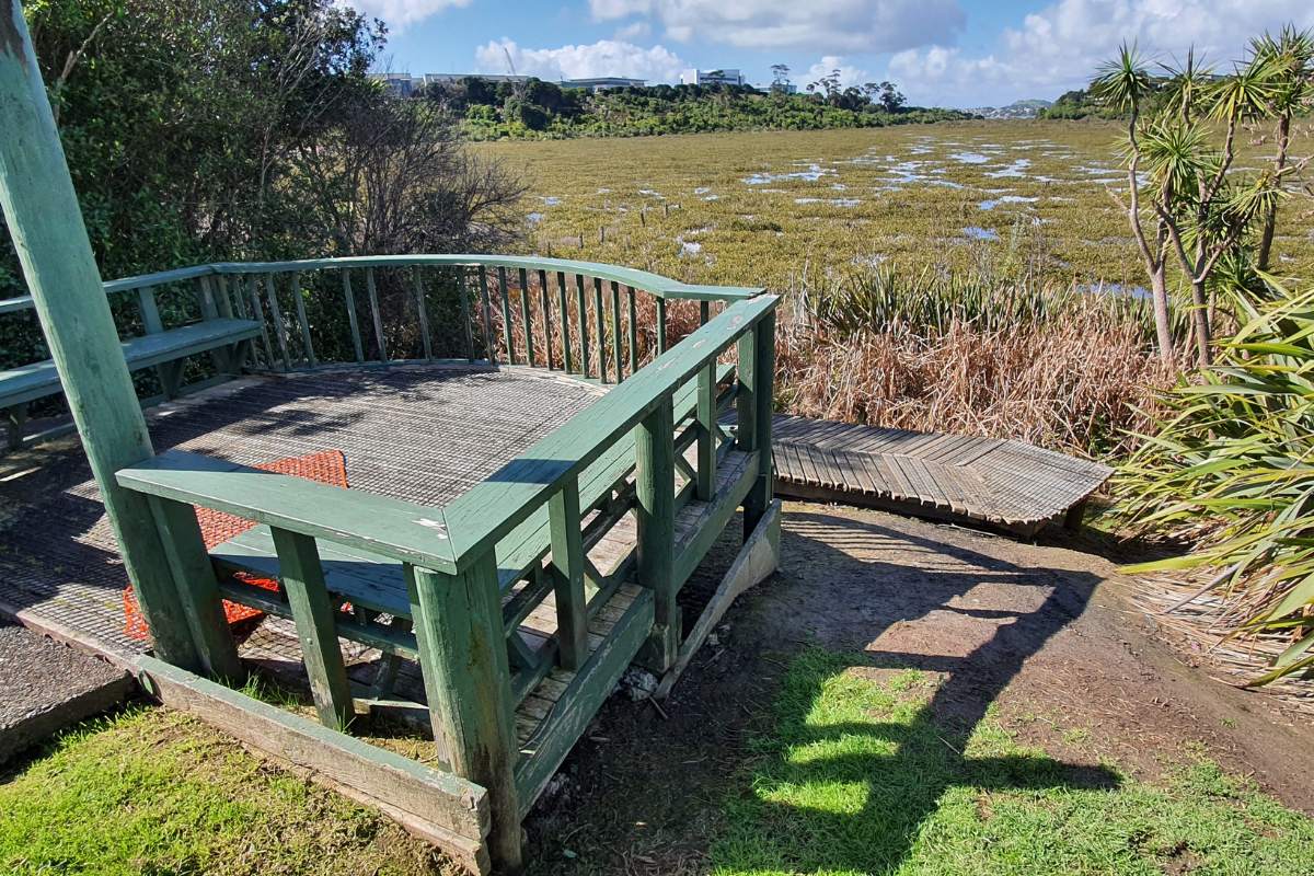 Tuff Crater Path walk, Northcote, North Shore, Auckland