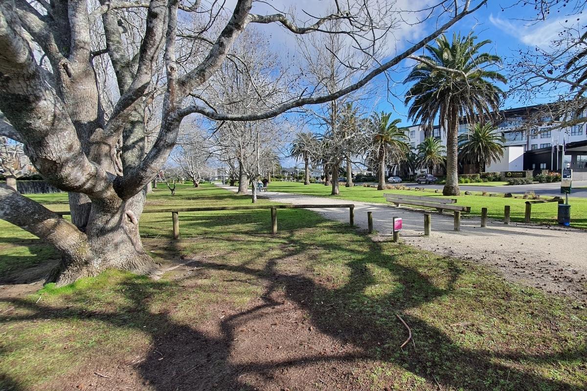 Very start of the Hobsonville Point Park Loop Walk in Auckland by Freewalks.nz