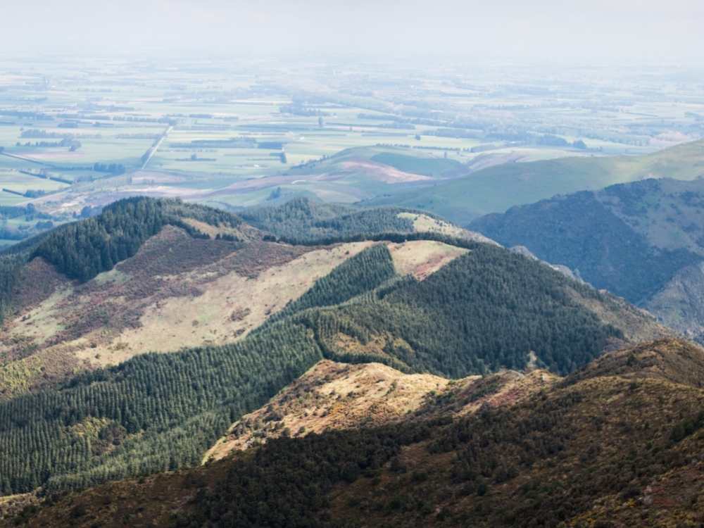 View from the South Ridge Track over the plains - Geraldine in New Zealand Freewalks.nz