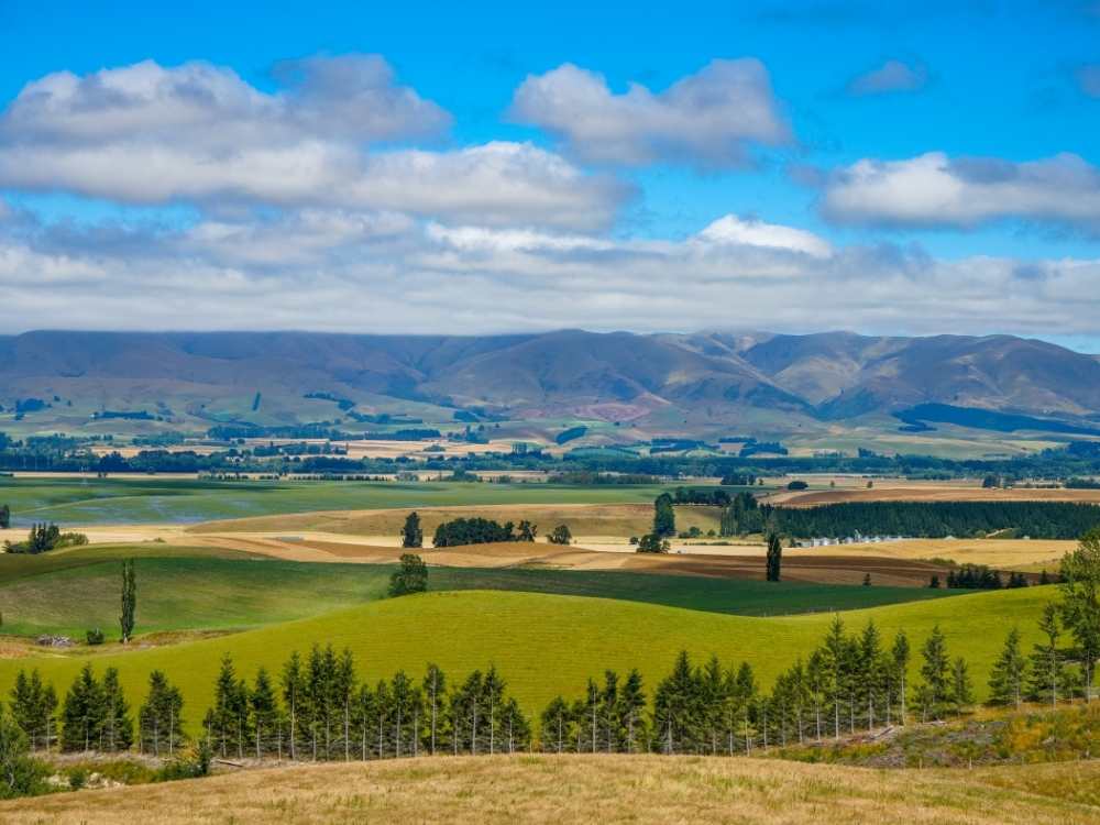 View over the plains in Geraldine on the Waihi River Walkway in New Zealand Freewalks.nz