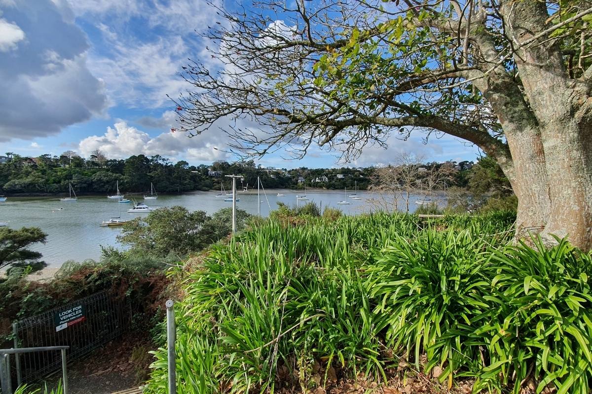 Views from Pahiki Reserve on the Herald Island Path in Hobsonville, Auckland by Sandra at Freewalks.nz