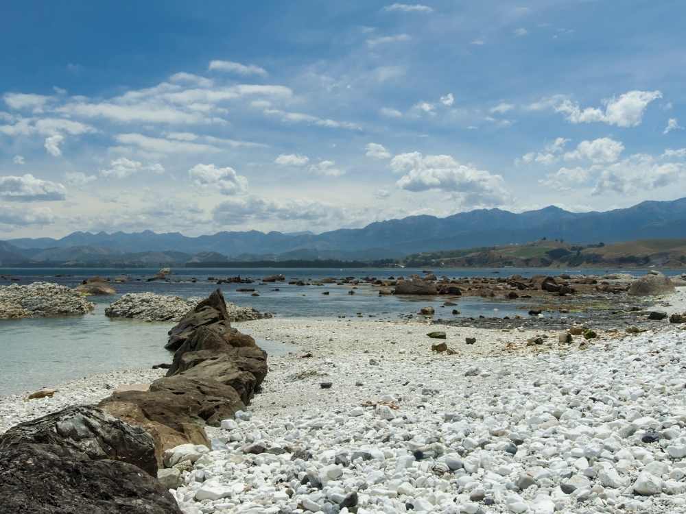 Views from the Kaikoura Peninsula walkway