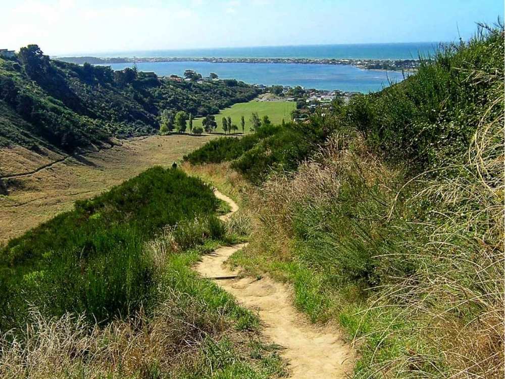 Views out to the ocean on the Barnett Park Walk, Christchurch, New Zealand Freewalks.nz