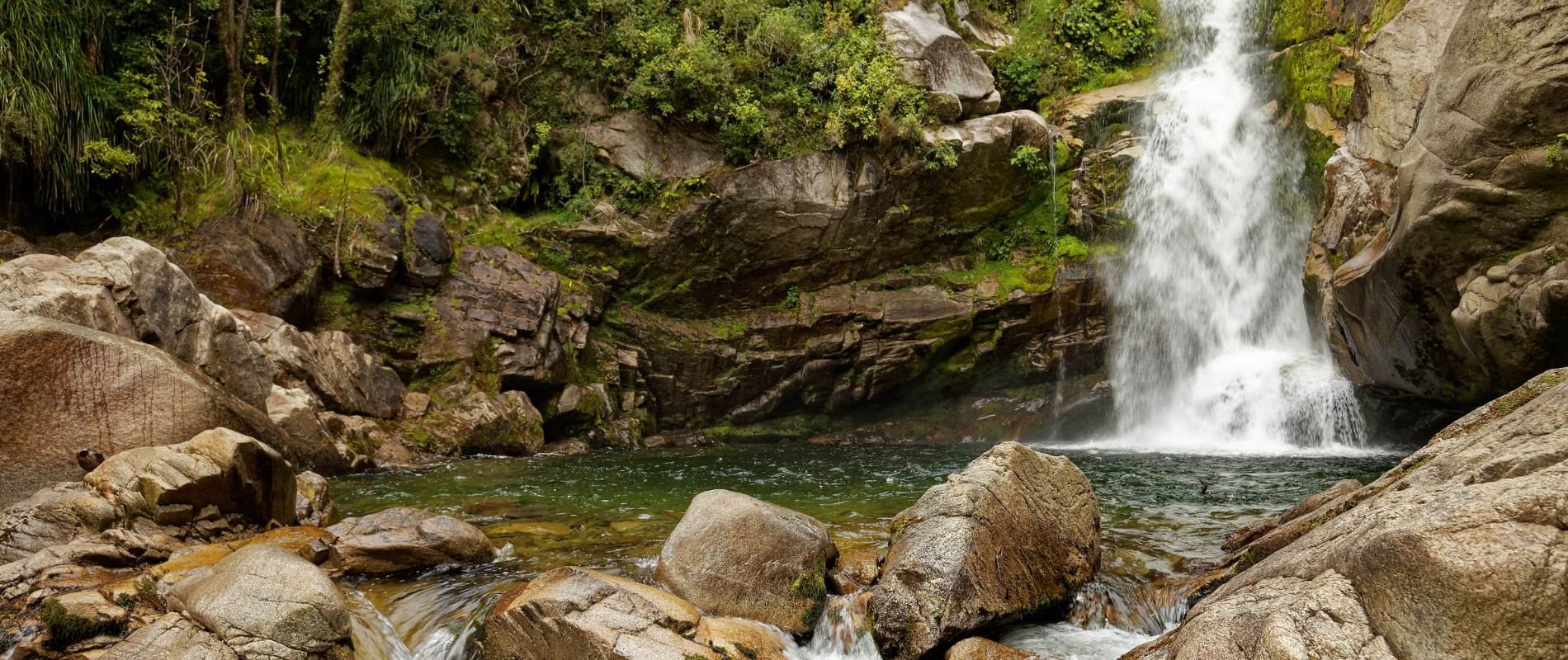 Wainui Falls Walk