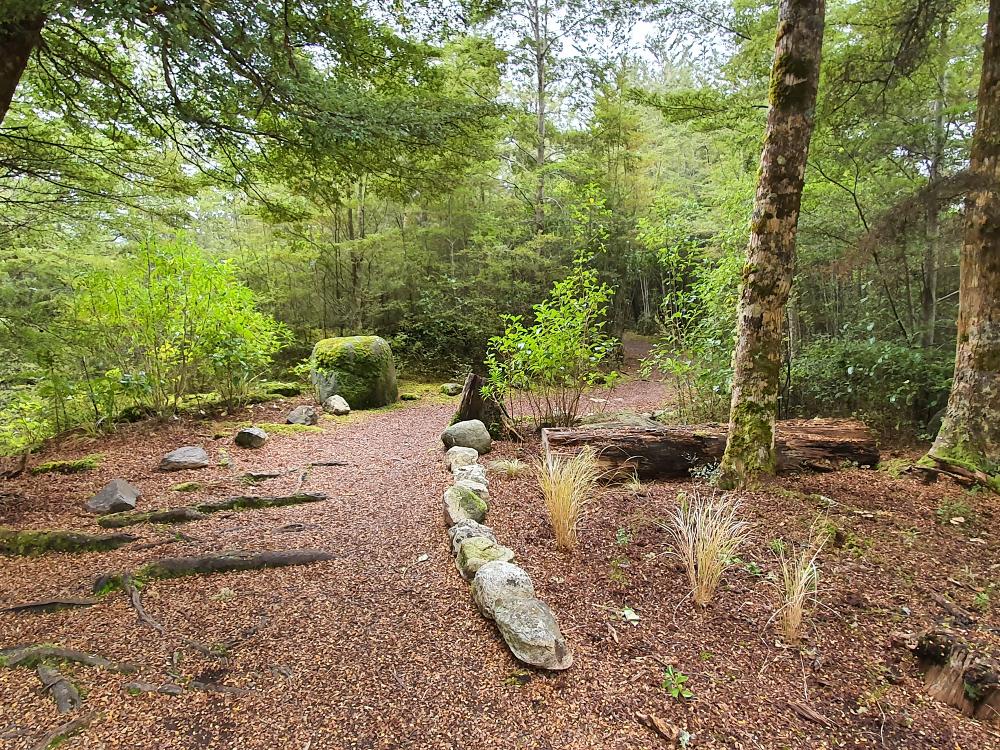 Walking track on the Puhi Puhi Reserve Walk