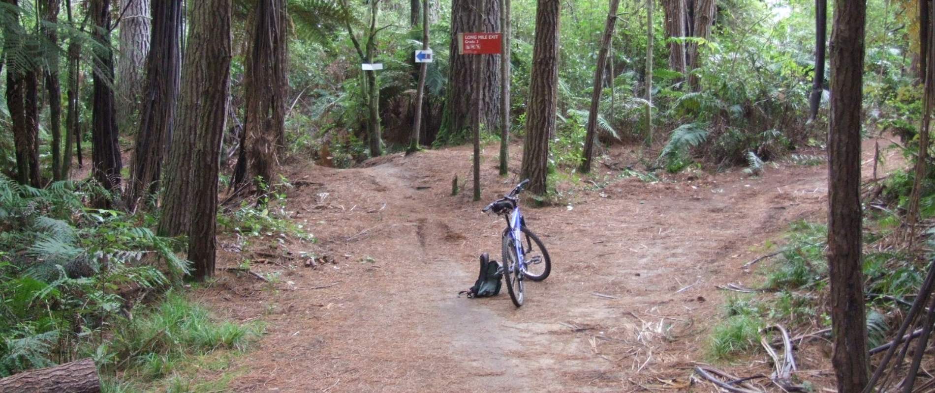 Whakarewarewa Forest Mountain Bike Track