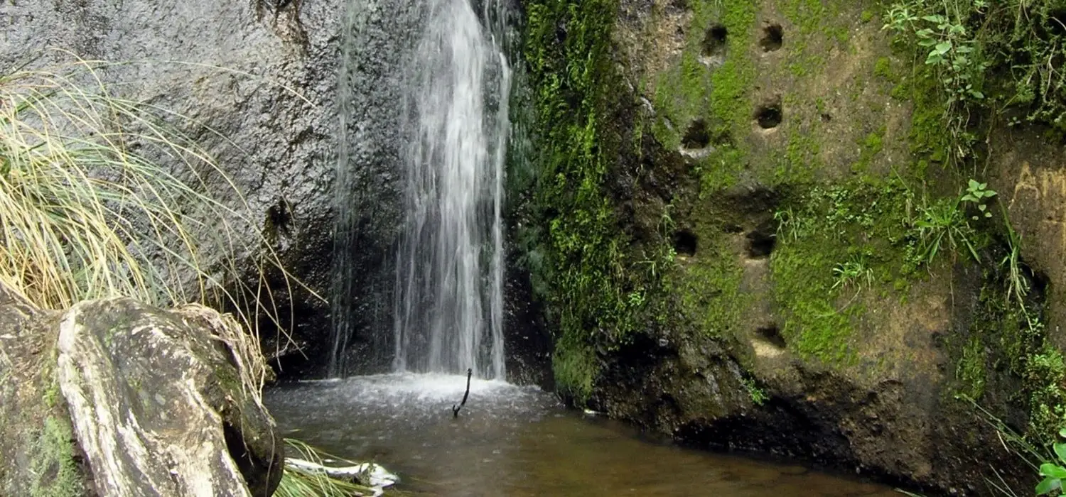 William Wright Falls Track