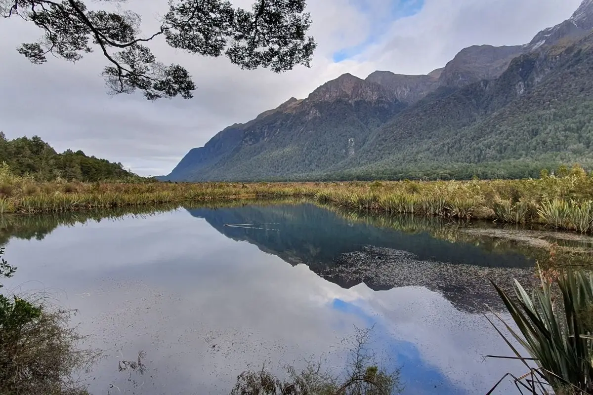 Earl Mountains perfectly reflected in Mirror Lakes on calm day, Milford Road between Te Anau and Milford Sound