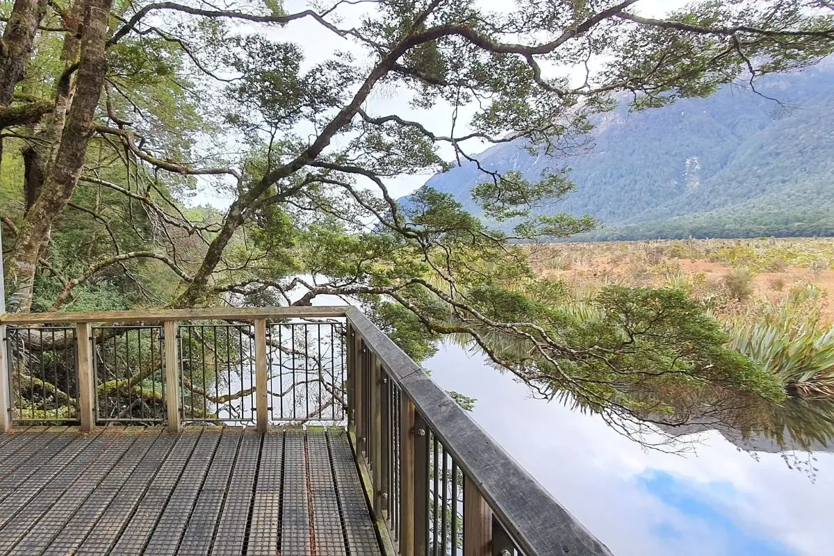 Wooden viewing platform on boardwalk overlooking Mirror Lakes wetland and mountains, Milford Road