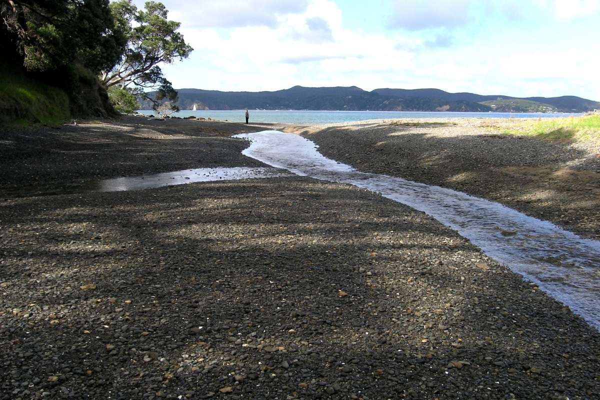 Lagoon outlet stream crossing at low tide with Whangaparāoa Peninsula in background