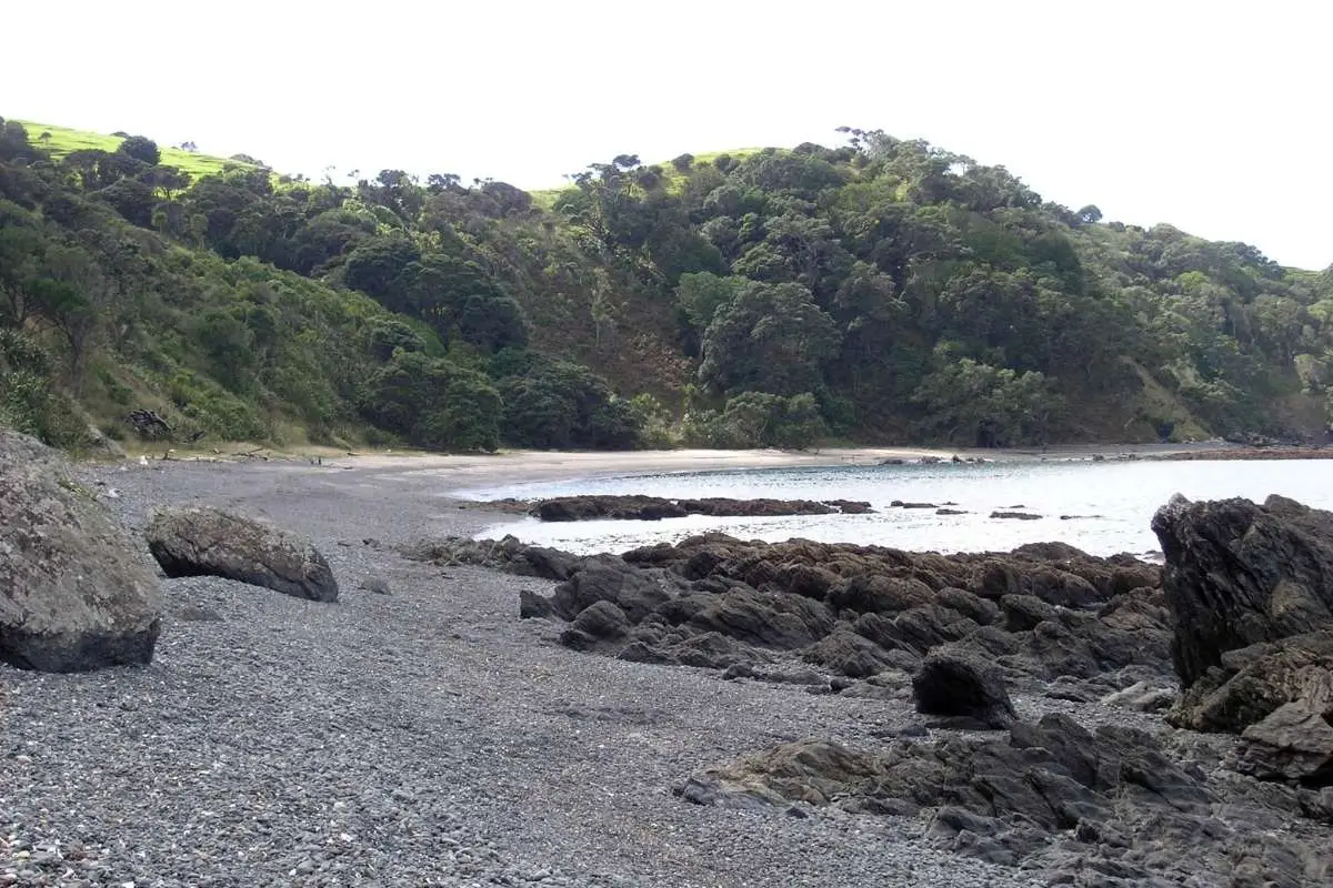 Māori Bay beach with rocky shore and native bush backdrop at Tāwharanui