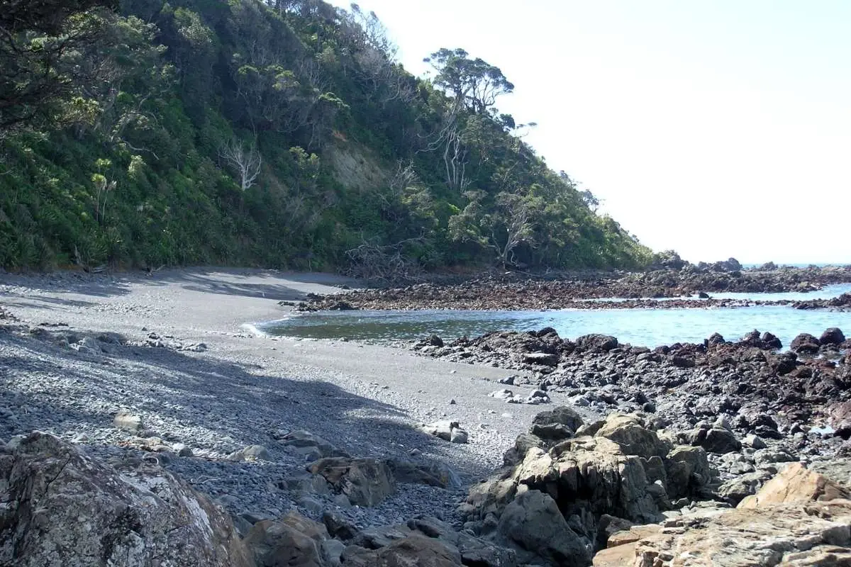 Sheltered pebble beach cove with native bush at Tāwharanui during low tide