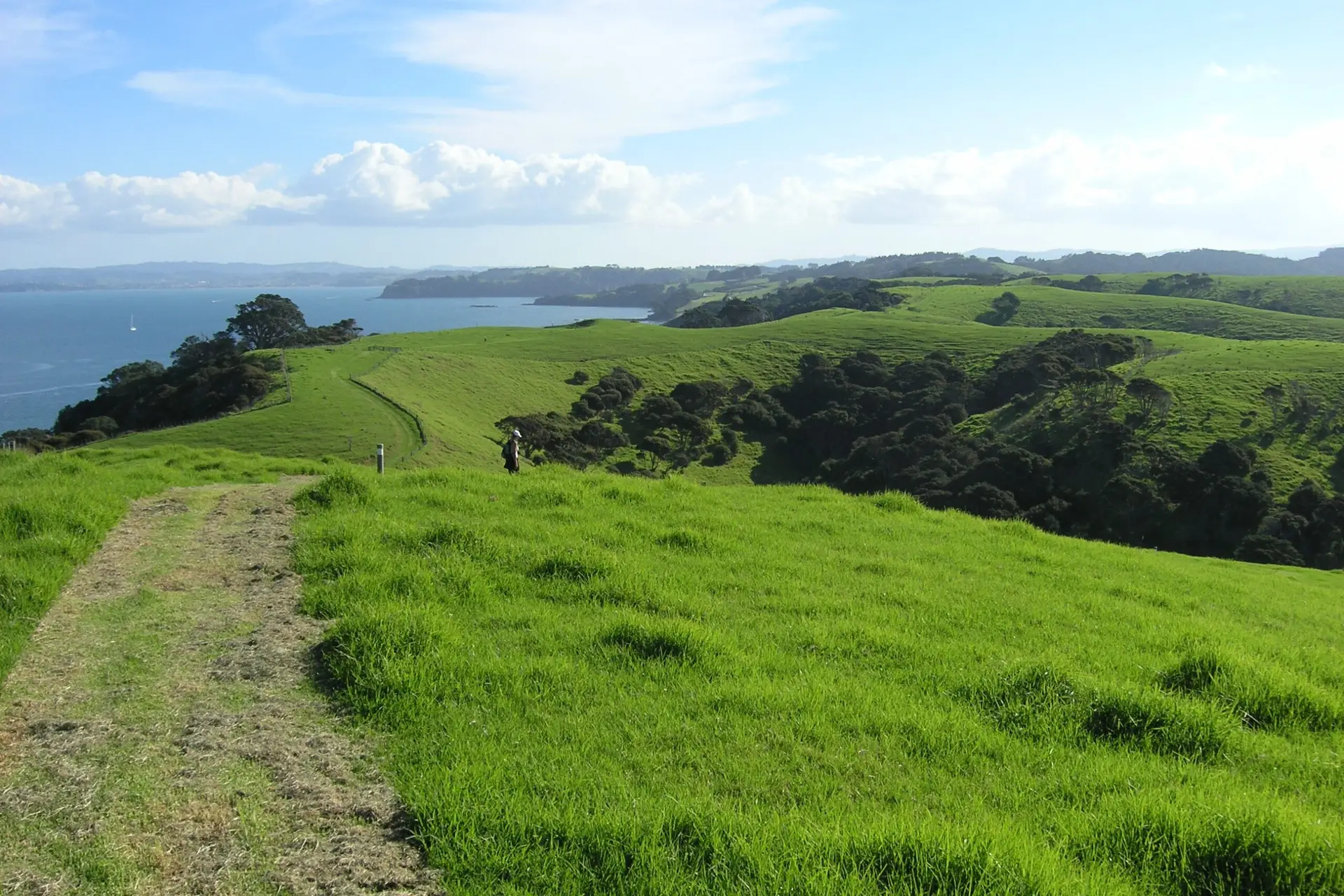 Walker on grass ridge track with coastal and farmland views at Tāwharanui Regional Park