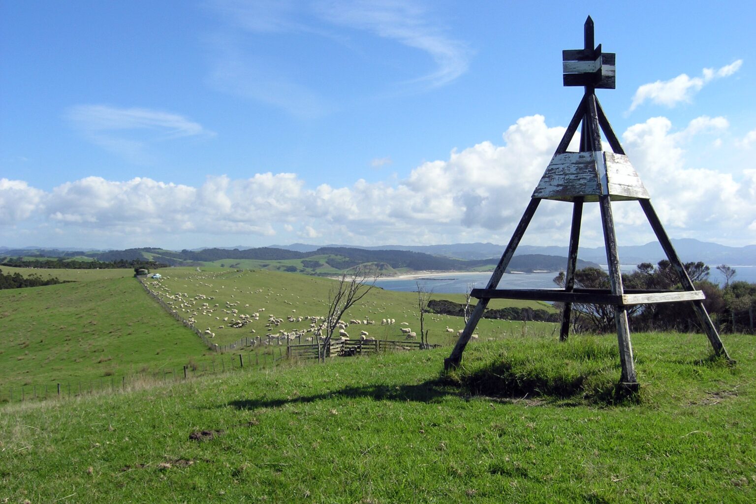 Wooden trig point with grazing sheep and Anchor Bay coastal views on Tāwharanui South Coast Track
