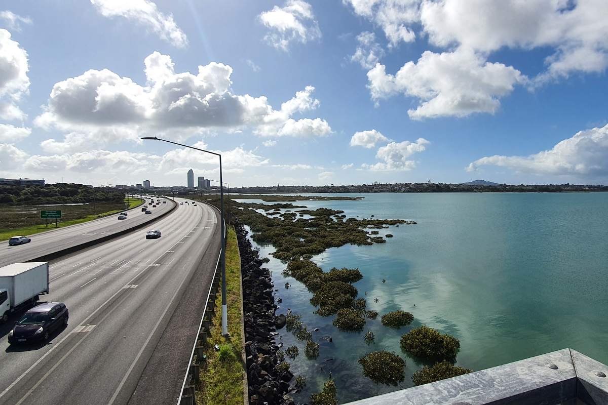 Tuff Crater Path walk, Northcote, North Shore, Auckland