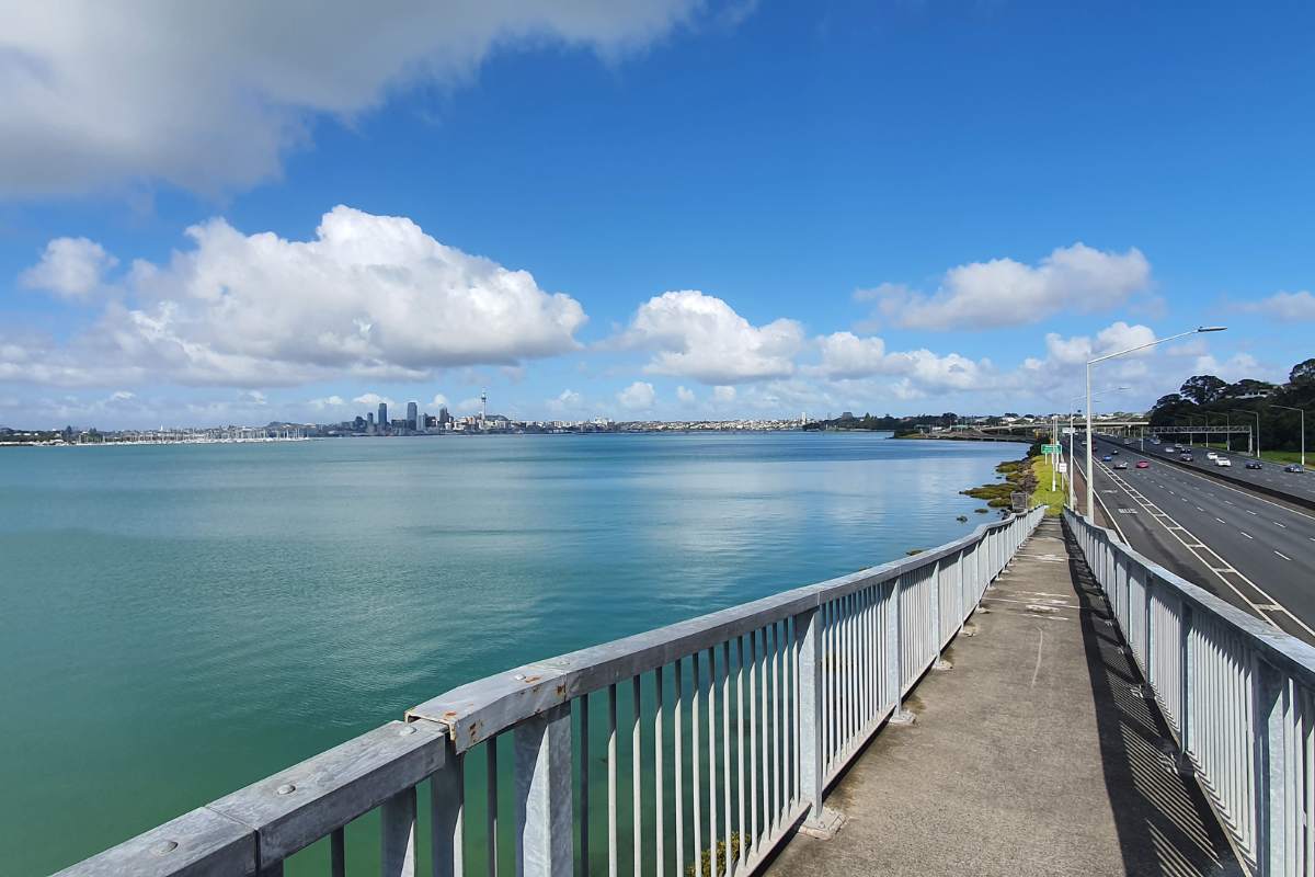 Tuff Crater Path walk, Northcote, North Shore, Auckland