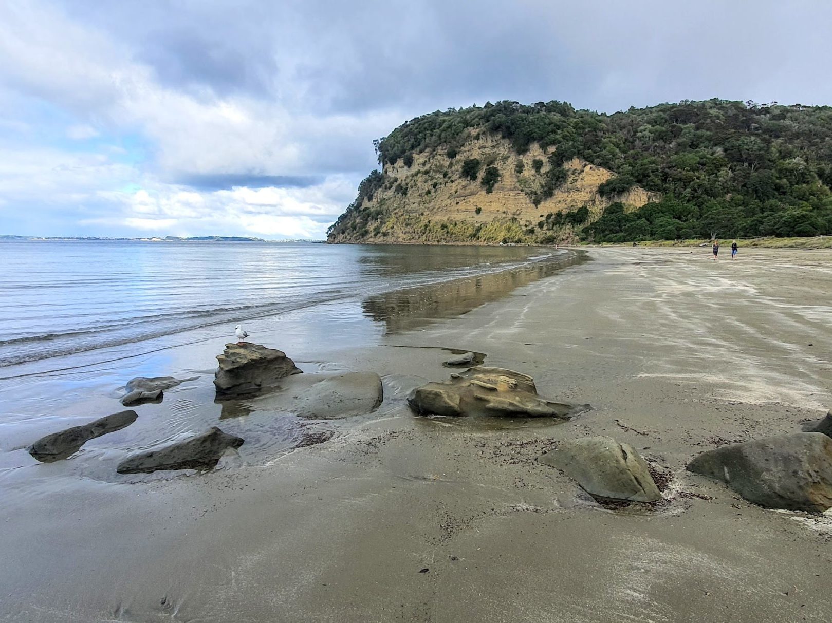 Wenderholm Regional Park Beach in Auckland - Copyright Freewalks.nz