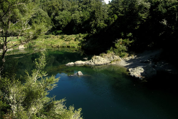 Pelorus Circle Walk - Point 4||||Pelorus Circle Walk