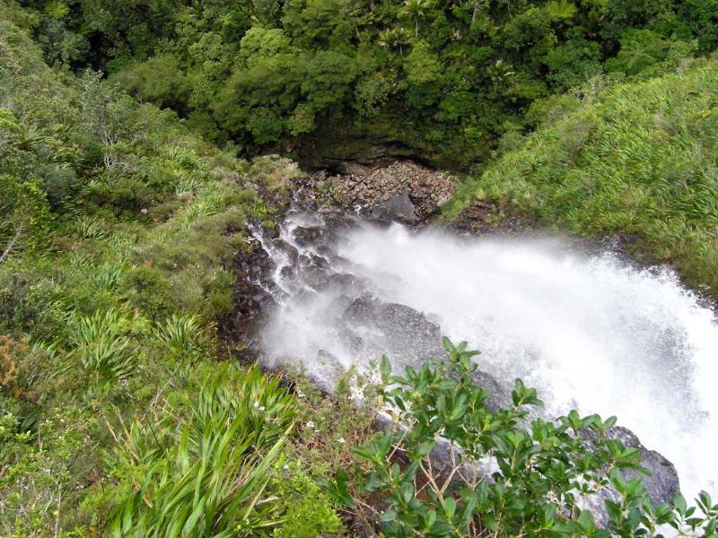 Ananui Falls Track - Katikati - Copyright Freewalks.nz|||||||Ananui Falls Walk - car park|Ananui Falls Track - Katikati - Copyright Freewalks.nz|Ananui Falls Track - Katikati - Copyright Freewalks.nz|Ananui Falls Track - Katikati - Copyright Freewalks.nz|Ananui Falls Track - Katikati - Copyright Freewalks.nz|Ananui Falls Track - Katikati - Copyright Freewalks.nz|Ananui Falls Track - Katikati - Copyright Freewalks.nz