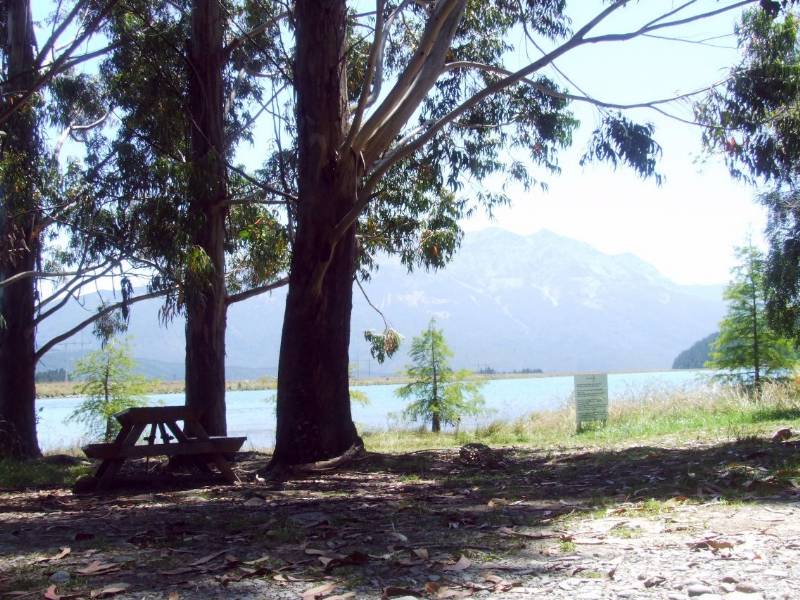 Argyle Pond Camping - St Arnaud - South Island - NZ - Copyright Freewalks.nz||||||Argyle Pond Camping|Argyle Pond Camping - St Arnaud - South Island - NZ - Copyright Freewalks.nz|Argyle Pond Camping - St Arnaud - South Island - NZ - Copyright Freewalks.nz|Argyle Pond Camping - St Arnaud - South Island - NZ - Copyright Freewalks.nz|Argyle Pond Camping - St Arnaud - South Island - NZ - Copyright Freewalks.nz