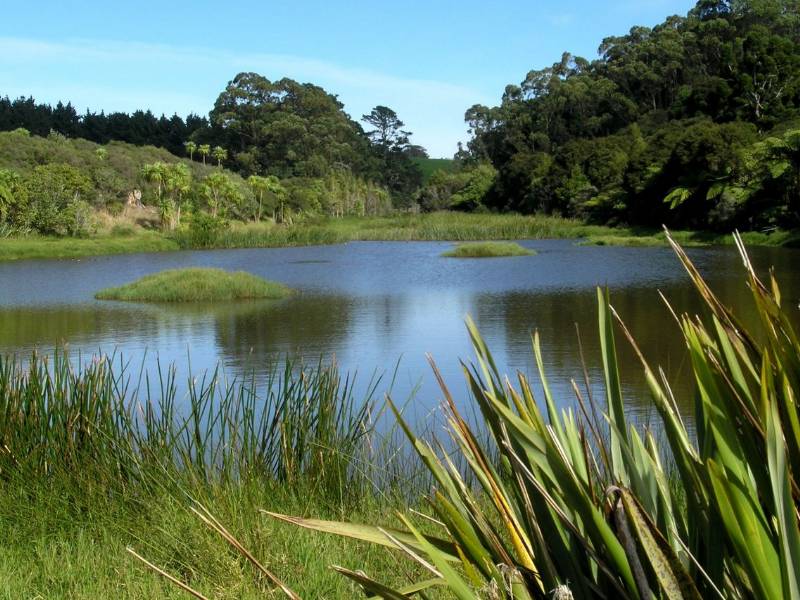 Awhitu Regional Park Walk - Manakau - Copyright Freewalks.nz||||||Awhitu Regional Park Walk|Awhitu Regional Park Walk - Manakau - Copyright Freewalks.nz|Awhitu Regional Park Walk - Manakau - Copyright Freewalks.nz|Awhitu Regional Park Walk - Manakau - Copyright Freewalks.nz|Awhitu Regional Park Walk - Manakau - Copyright Freewalks.nz