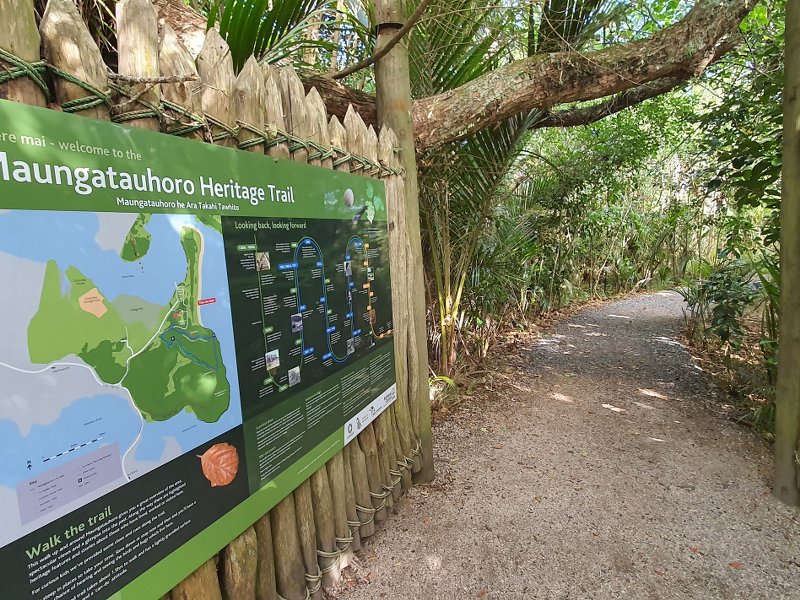 Couldrey House Lookout - Wenderholm Regional Park - Auckland - Copyright Freewalks.nz