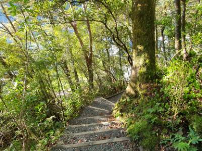 Grave Talbot Track - Milford Sound - Freewalks.nz|Milford Sound Foreshore Walk - Freewalks.nz|Milford Sound Lookout Walk - Copywrite Freewalks.nz|Hidden Falls Walk Milford Sound - Freewalks.nz|Humboldt Falls Walk Milford Sound - Freewalks.nz|Milford Sound Foreshore Walk - Copyright Freewalks.nz (2)|The Chasm Walks Milford Sound - Freewalks.nz