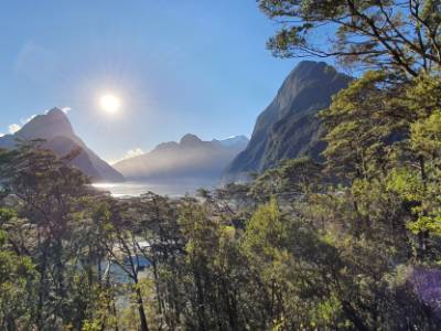 Milford Sound Lookout Walk - Copywrite Freewalks.nz|Milford Sound Lookout Walk - Copyright Freewalks.nz|Milford Sound Lookout Walk - Copyright Freewalks.nz|Milford Sound Lookout Walk - Copyright Freewalks.nz|Milford Sound Lookout Walk - Copyright Freewalks.nz|Milford Sound Lookout Walk - Copyright Freewalks.nz|Milford Sound Lookout Walk - Copyright Freewalks.nz|Milford Sound Lookout Walk - Copywrite Freewalks.nz|Milford Sound Lookout Walk - Copywrite Freewalks.nz|Milford Sound Lookout Walk - Copywrite Freewalks.nz|Milford Sound Lookout Walk - Copywrite Freewalks.nz|Milford Sound Lookout Walk - Copywrite Freewalks.nz|Milford Sound Lookout Walk - Copywrite Freewalks.nz