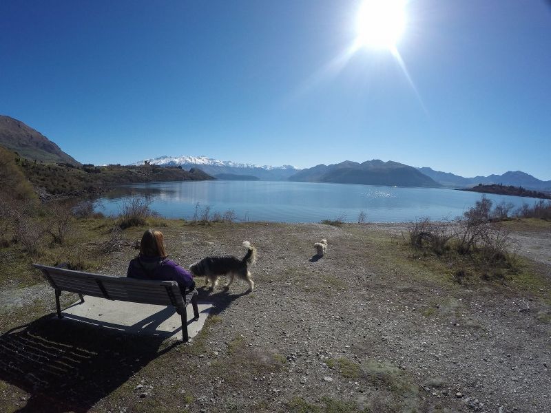 Slaughterhouse_Creek walk around Lake Wanaka