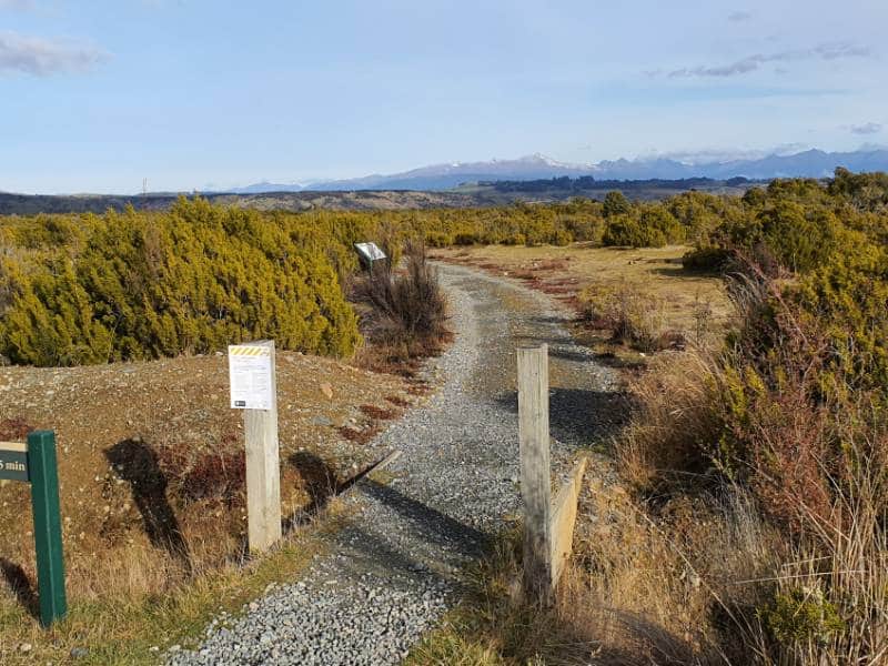 The Wilderness Lookout Walk