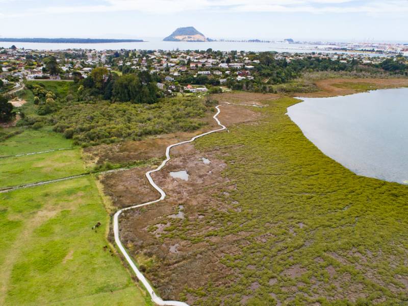 Waikareao Estuary Walk in Tauranga - Copyright Freewalks.nz||||Waikareao Estuary Walk|Waikareao Estuary Walk in Tauranga - North Island New Zealand - Copyright Freewalks.nz (2)|Waikareao Estuary Walk in Tauranga - North Island New Zealand - Copyright Freewalks.nz (2)|Waikareao Estuary Walk in Tauranga - North Island New Zealand - Copyright Freewalks.nz (2)|Waikareao Estuary Walk in Tauranga - North Island New Zealand - Copyright Freewalks.nz (2)