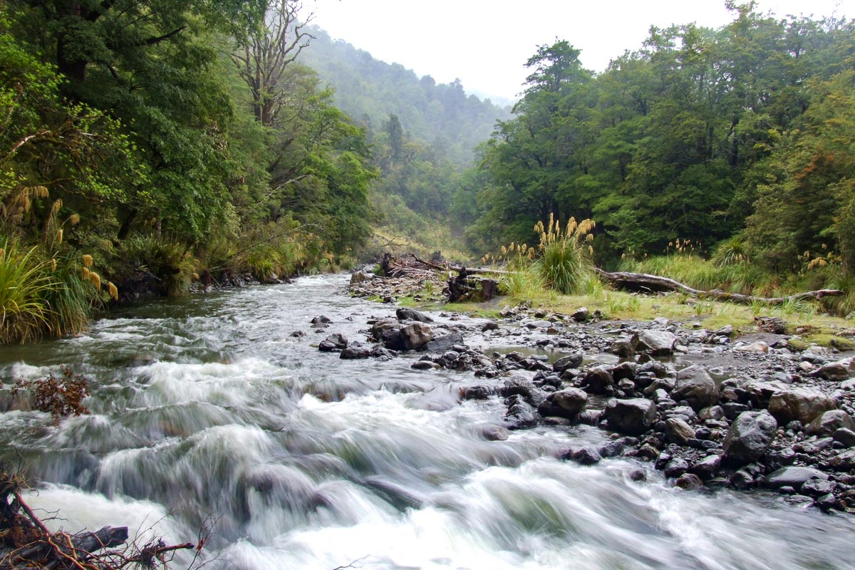 Atiwhakatu River||||||Atiwhakatu Hut Walk|Atiwhakatu Hut Walk near Masterton - Copyright Freewalks.nz|Atiwhakatu Hut Walk near Masterton - Copyright Freewalks.nz|Atiwhakatu Hut Walk near Masterton - Copyright Freewalks.nz|Atiwhakatu Hut Walk near Masterton - Copyright Freewalks.nz|Atiwhakatu Hut Walk near Masterton - Copyright Freewalks.nz|Atiwhakatu Hut Walk near Masterton - Copyright Freewalks.nz