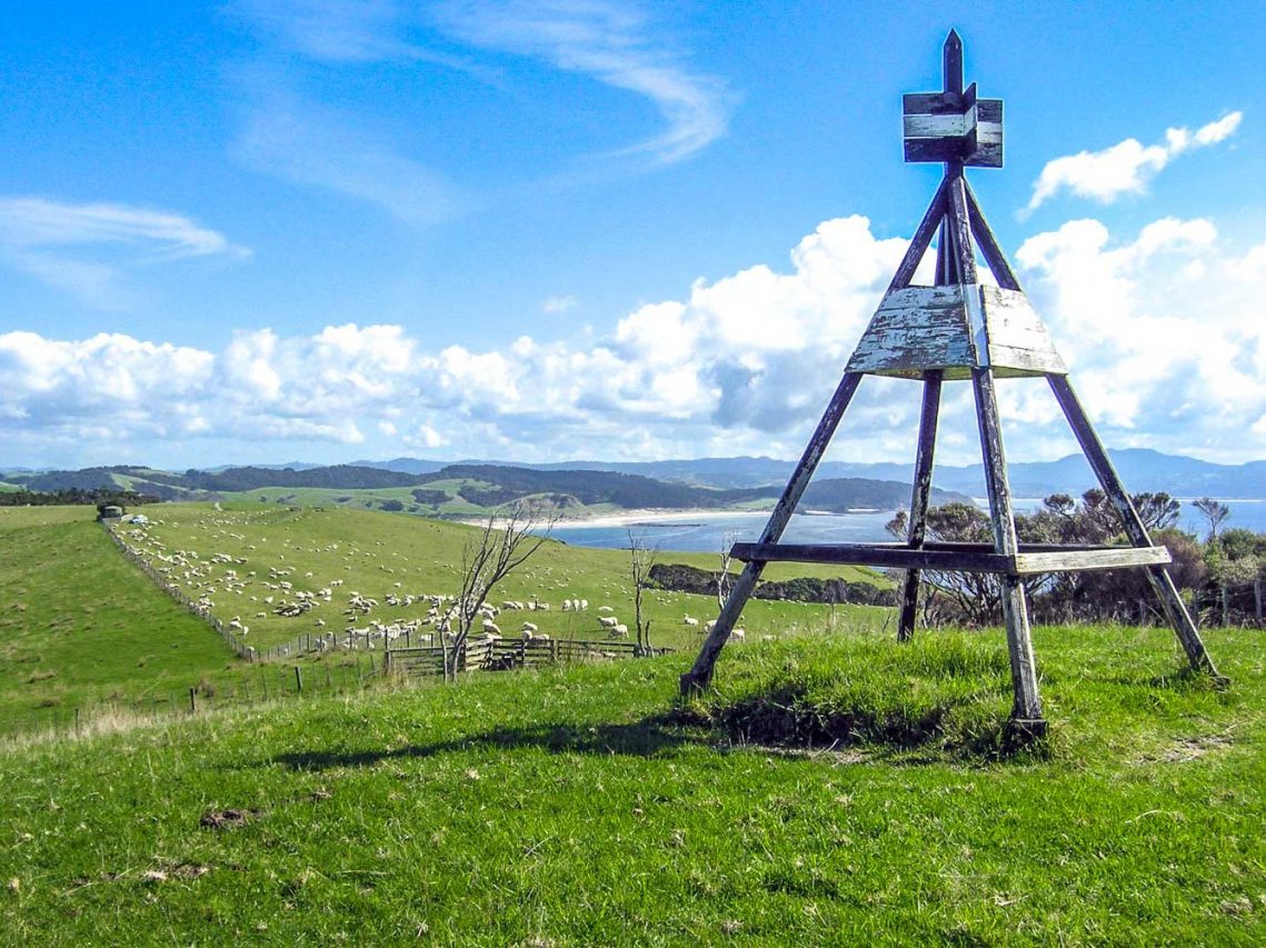 highest point on the walk||||||Tawharanui Ridge Walk