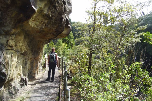 Charming Creek Railway Walk|||||||||||