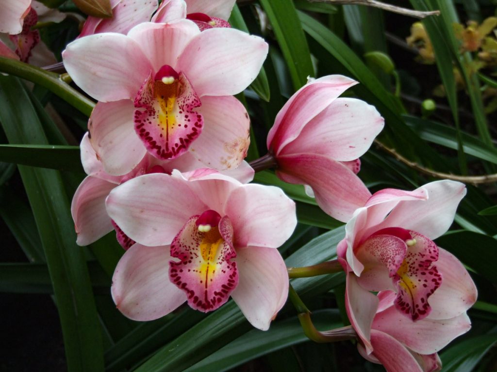 The best walking & hiking tracks in Tauranga North Island