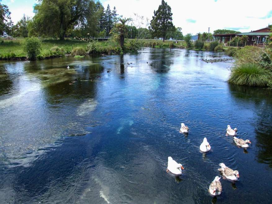 Hamurana Springs||||||Hamurana Springs