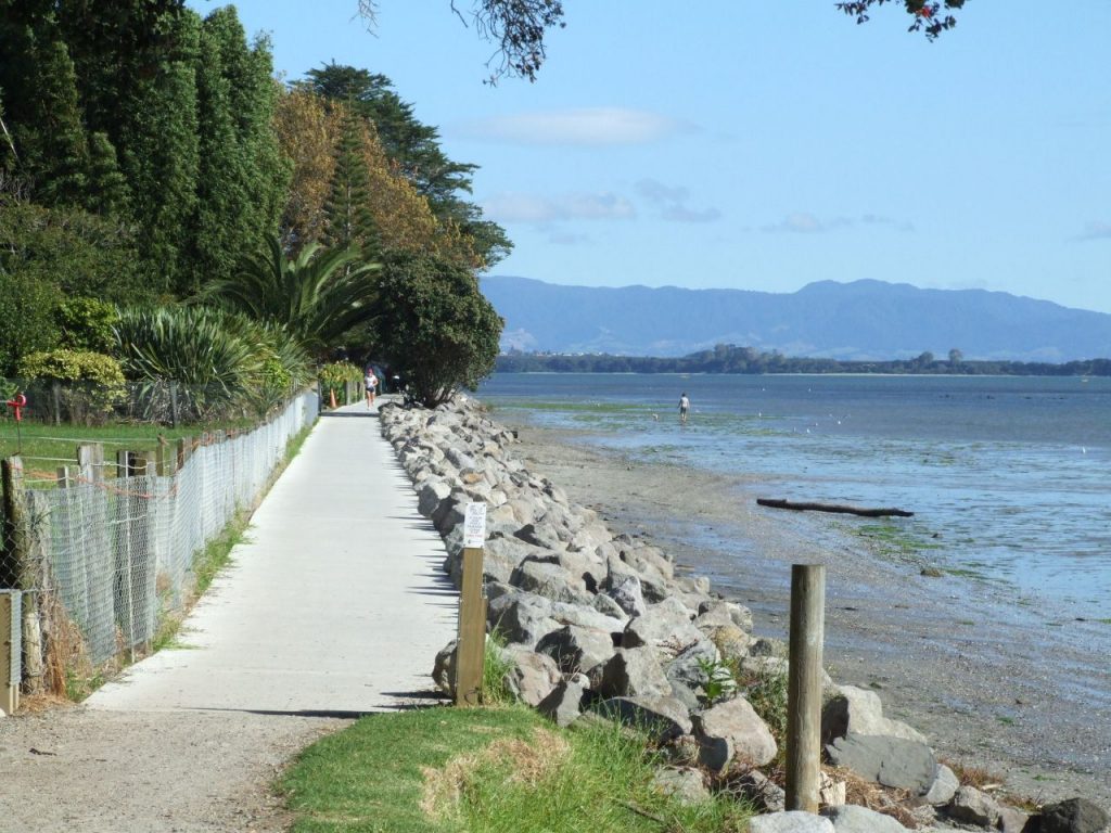 The best walking & hiking tracks in Tauranga North Island