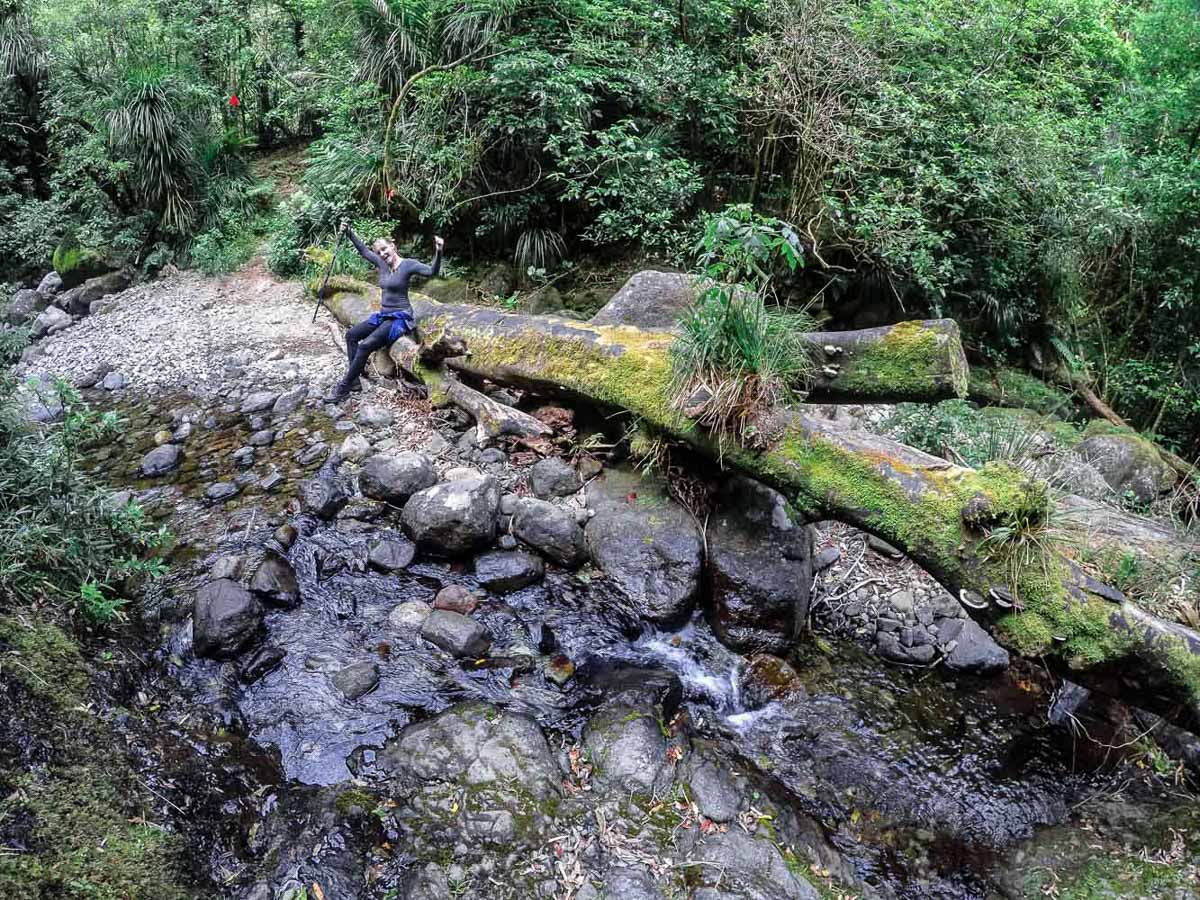 Rereatukahia Stream crossing on the Tuahu Track.