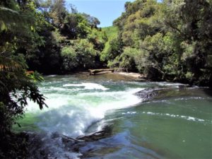 |||||Okere Falls Walk|Okere Falls Walk