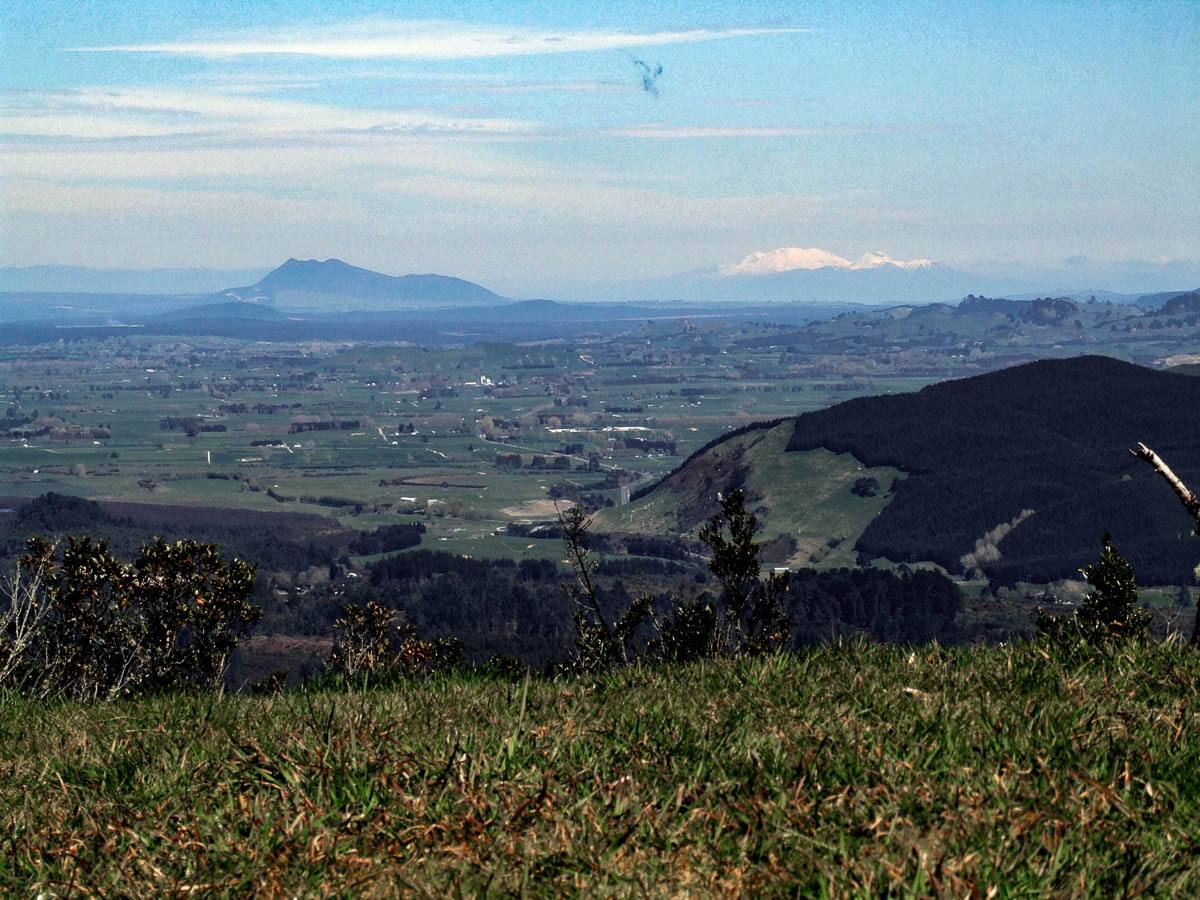 Mt Raupehu|||||Rainbow Mountain Reserve Walk