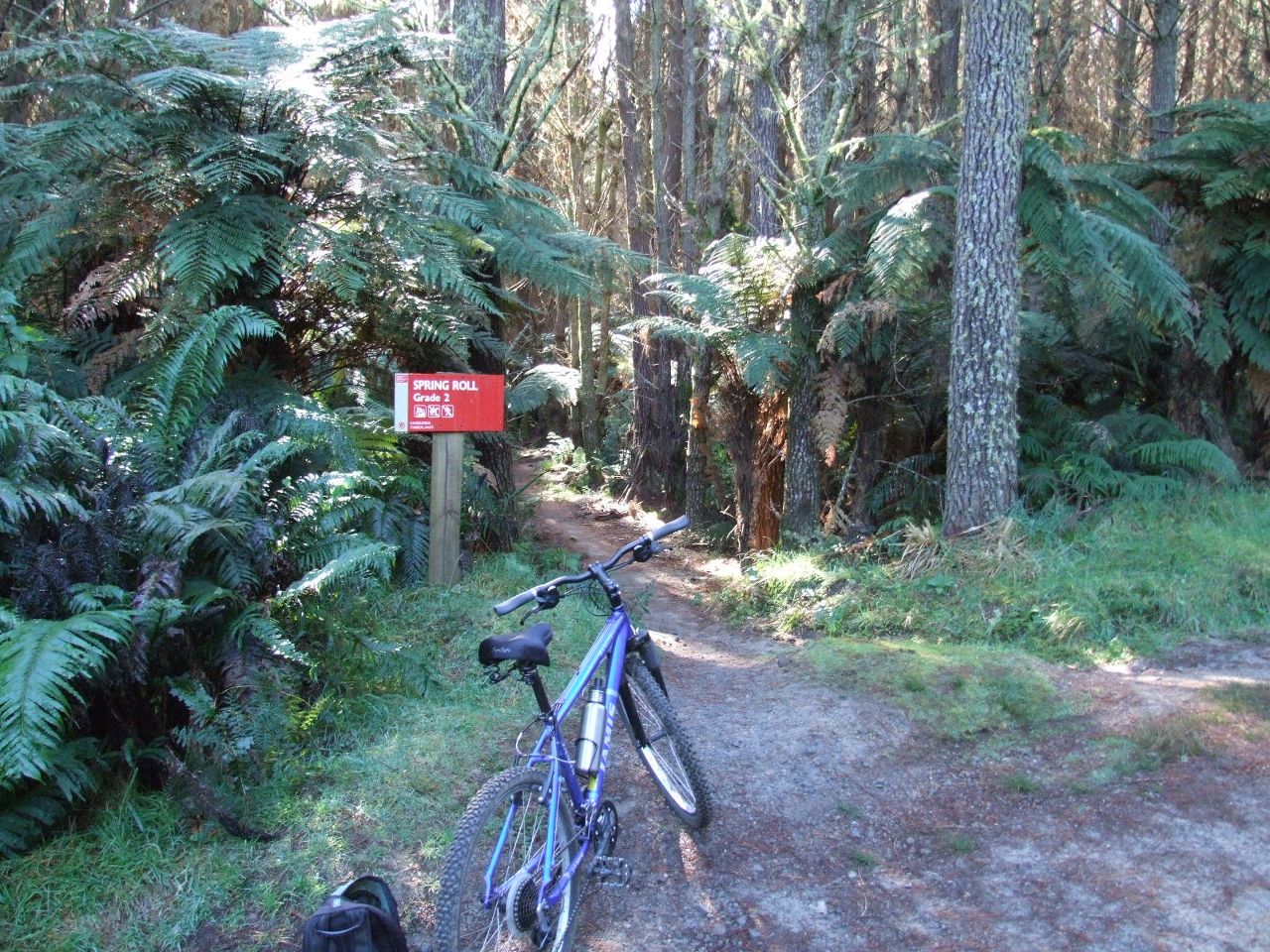 Spring Roll Track||||||Whakarewarewa Forest Mountain Bike Track